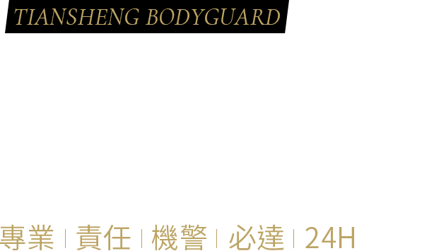 天盛安全顧問Banner文字